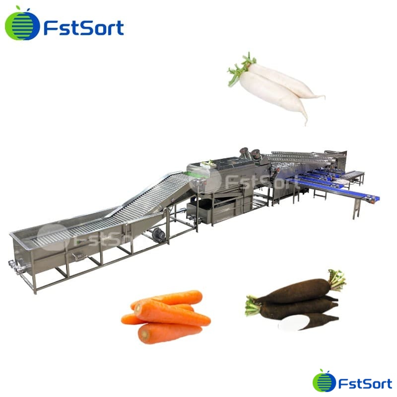 images/1692692239999Radish sizing machine.jpg